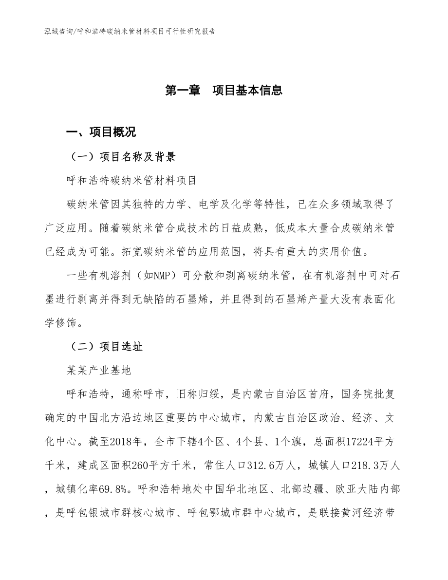 呼和浩特碳纳米管材料项目可行性研究报告范文模板_第4页