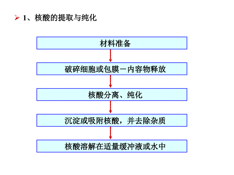 何水林版基因工程第四章基因工程的主要技术与原理_第3页