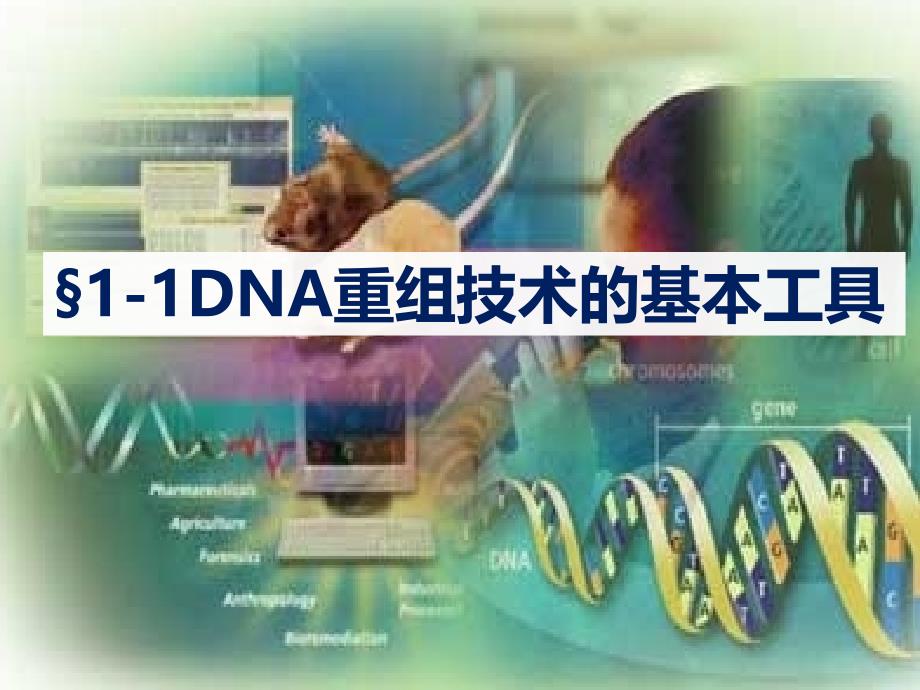 科技探索之路　基础理论和技术的发展催生了基因工程_第1页