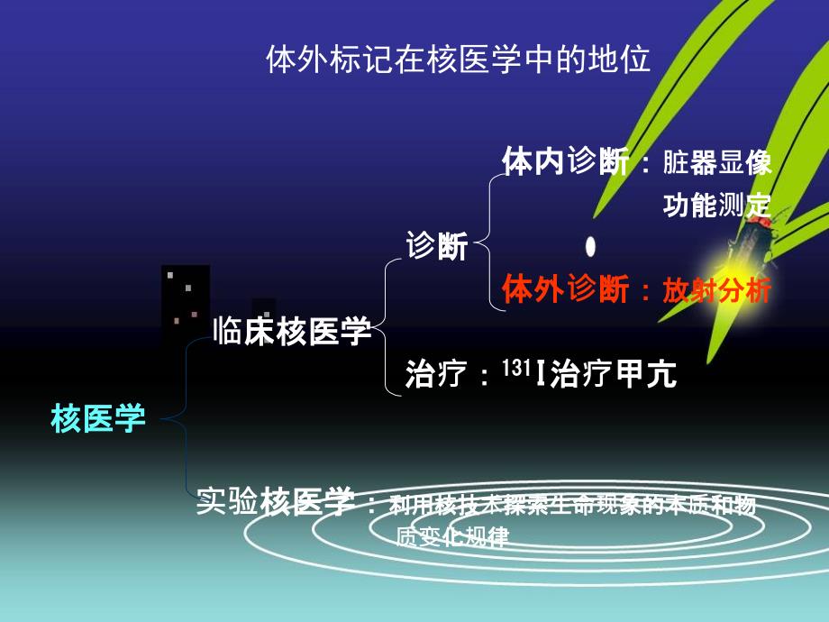 体外标记免疫分析ppt课件_第3页