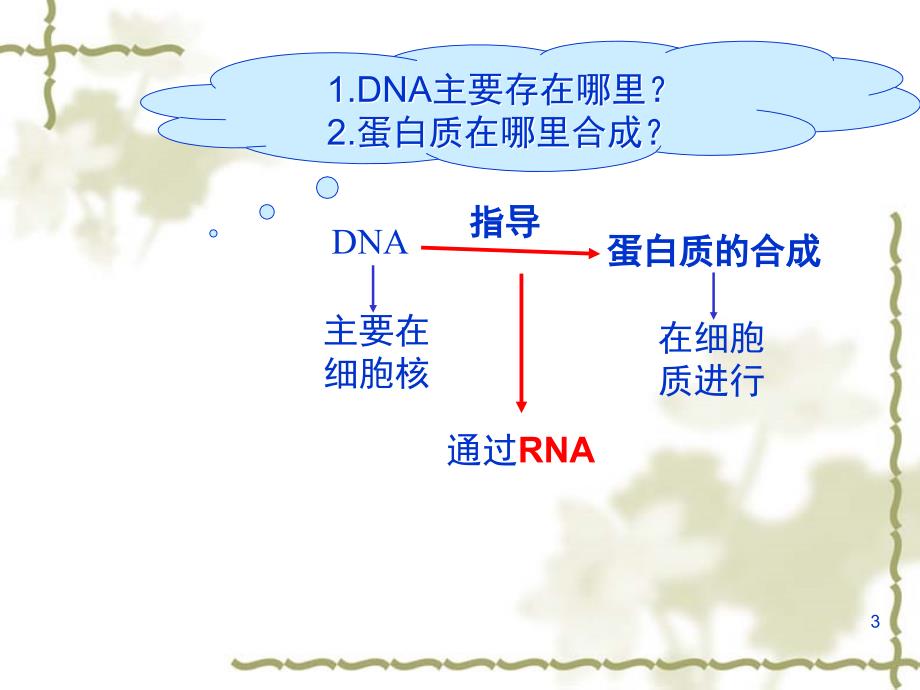 基因指导蛋白质的合成1.ppt_第3页