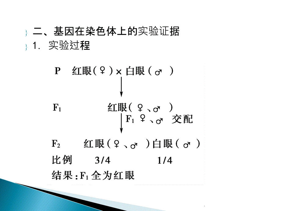 高三生物一轮复习精品必修二2基因在染色体上伴性遗传_第4页