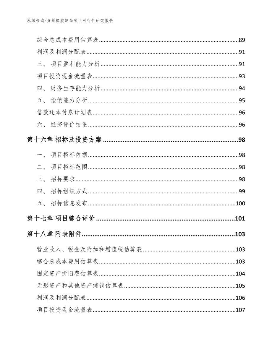 贵州橡胶制品项目可行性研究报告【参考模板】_第5页