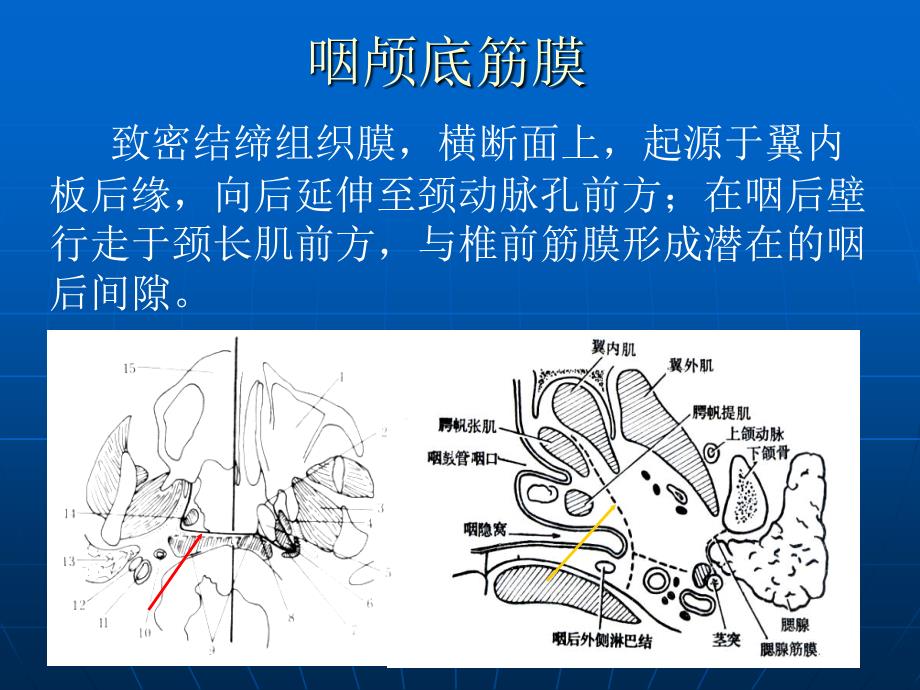 鼻咽癌CT与MR诊断_第4页