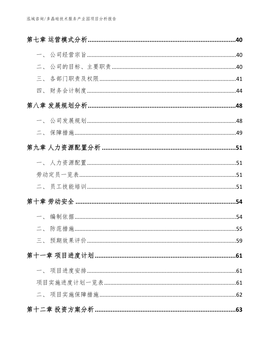 多晶硅技术服务产业园项目分析报告【模板范文】_第4页