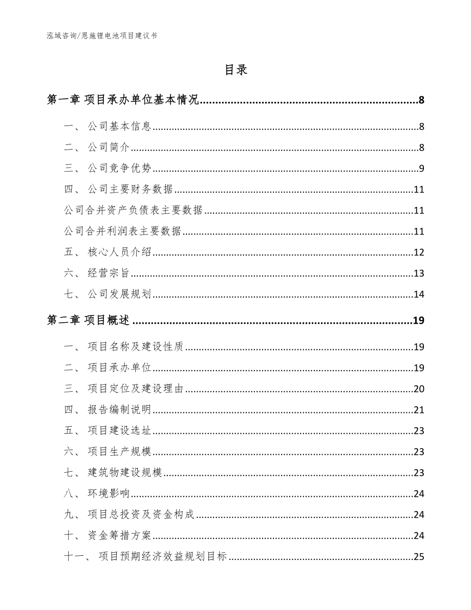 恩施锂电池项目建议书【模板】_第2页