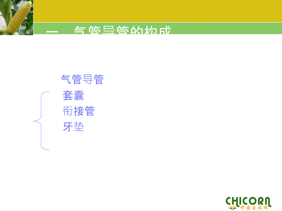 气管插管患者的护理_第2页