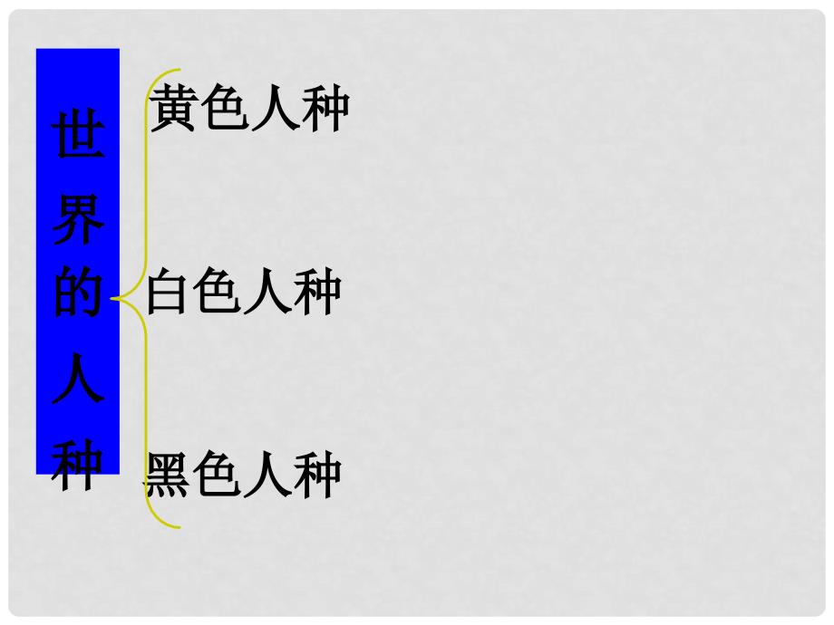 河北省承德县三沟初级中学七年级地理上册 第三章 世界的人种.课件 湘教版_第3页