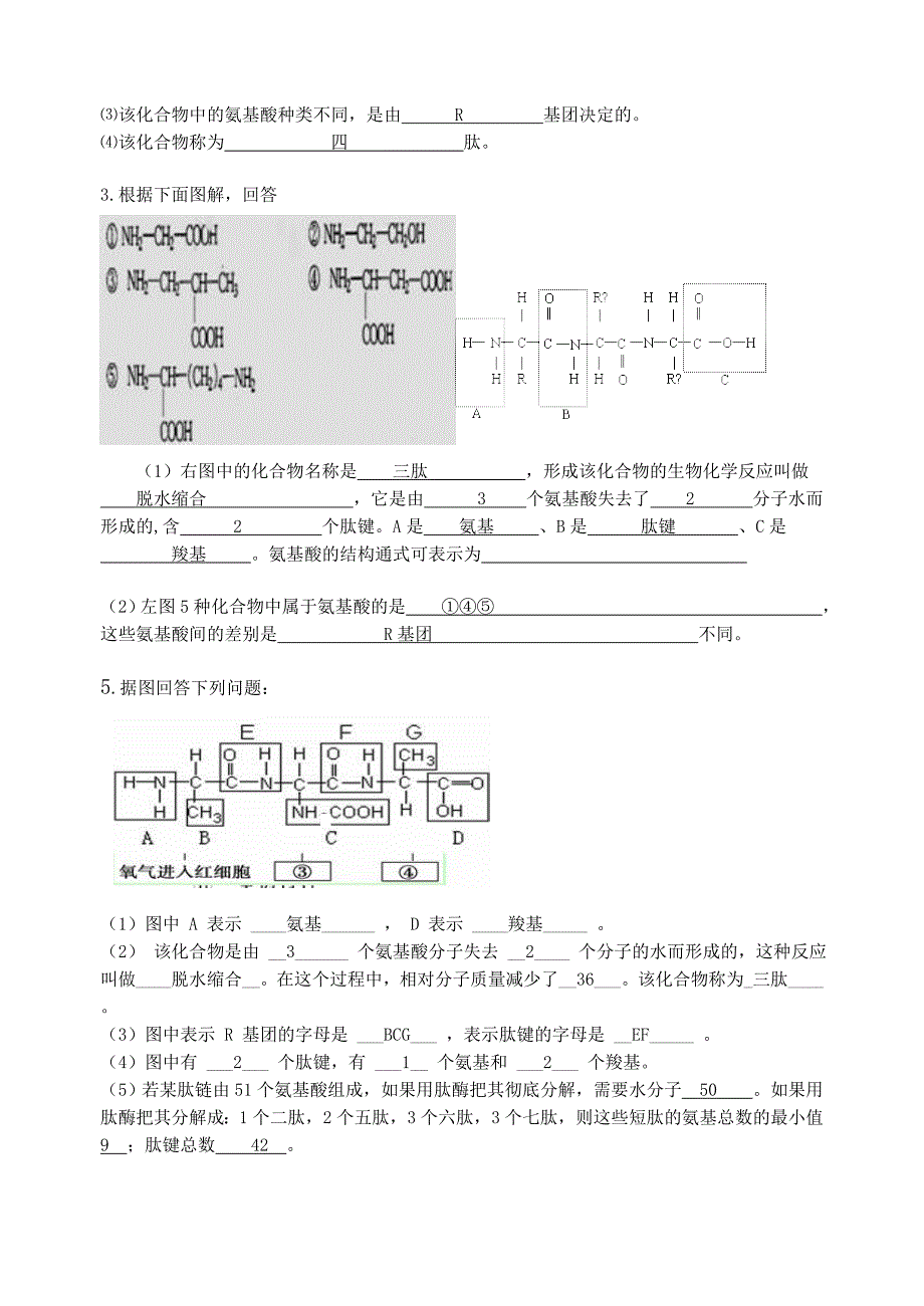 蛋白质的结构和功能.doc_第3页