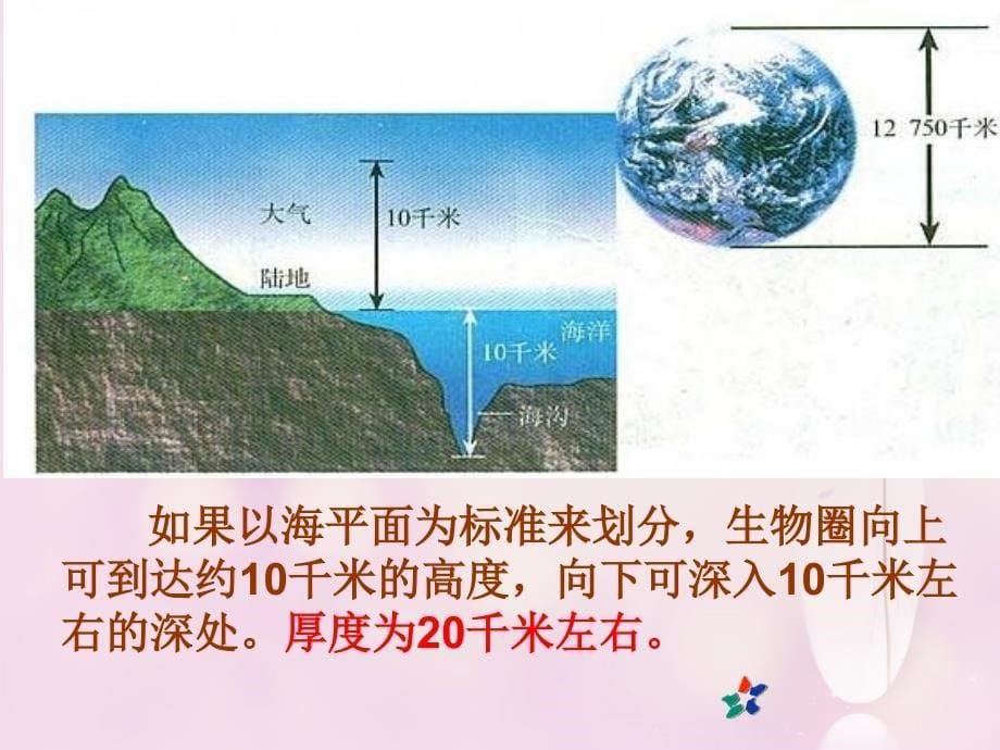 人教初中生物七上《第1单元 第2章 第3节 生物圈是最大的生态系统》PPT课件 (6)_第5页