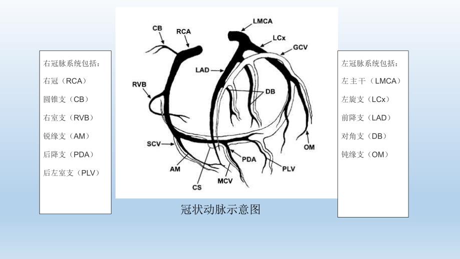 冠状动脉病变与心梗关系及临床观察_第4页