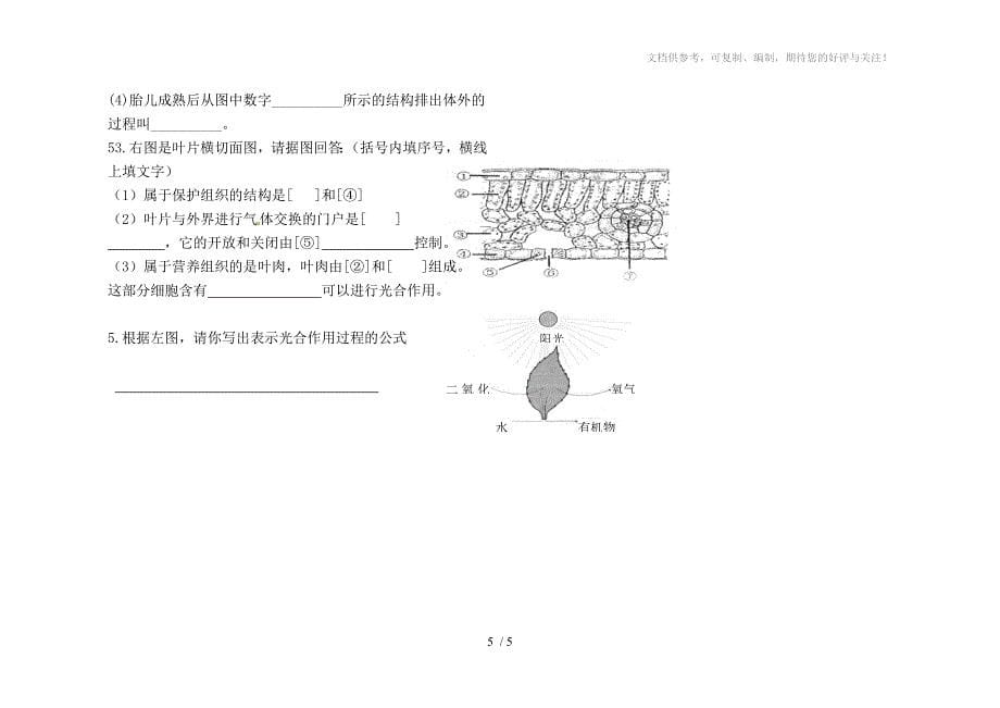 初一下第二次月考试题_第5页