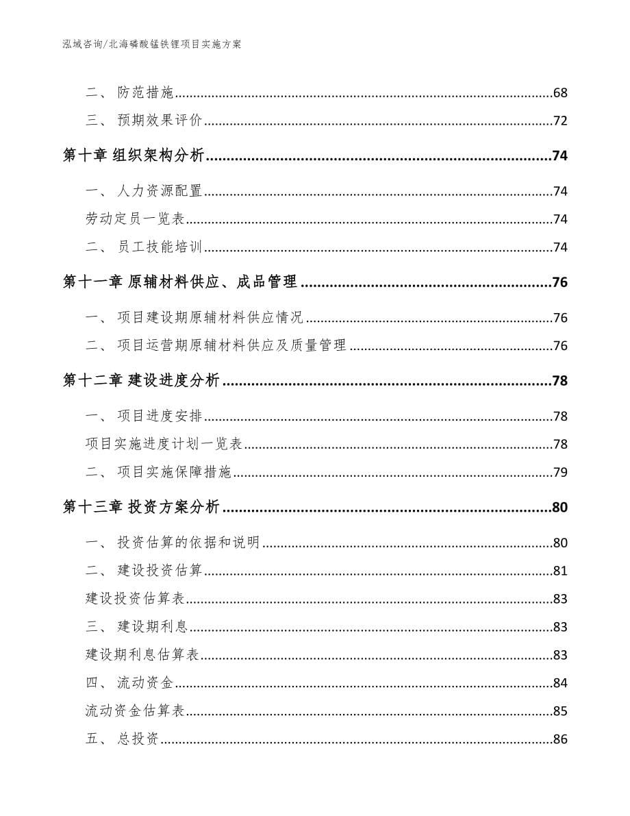 北海磷酸锰铁锂项目实施方案_模板参考_第5页