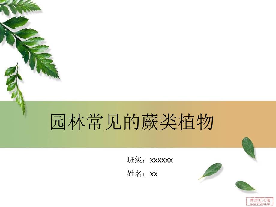 园林常见的蕨类植物_第1页