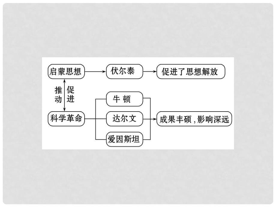 九年级历史上册 8.22 科学和思想的力量新课标配套课件 人教实验版_第5页