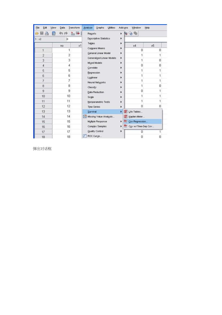 SPSS+cox比例风险回归模型_第2页