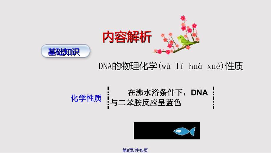 DNA的粗提取与鉴定优秀课件实用教案_第2页