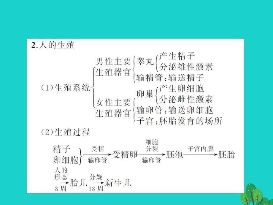 七年级生物下册第一二章专项复习ppt课件新版新人教版_第5页