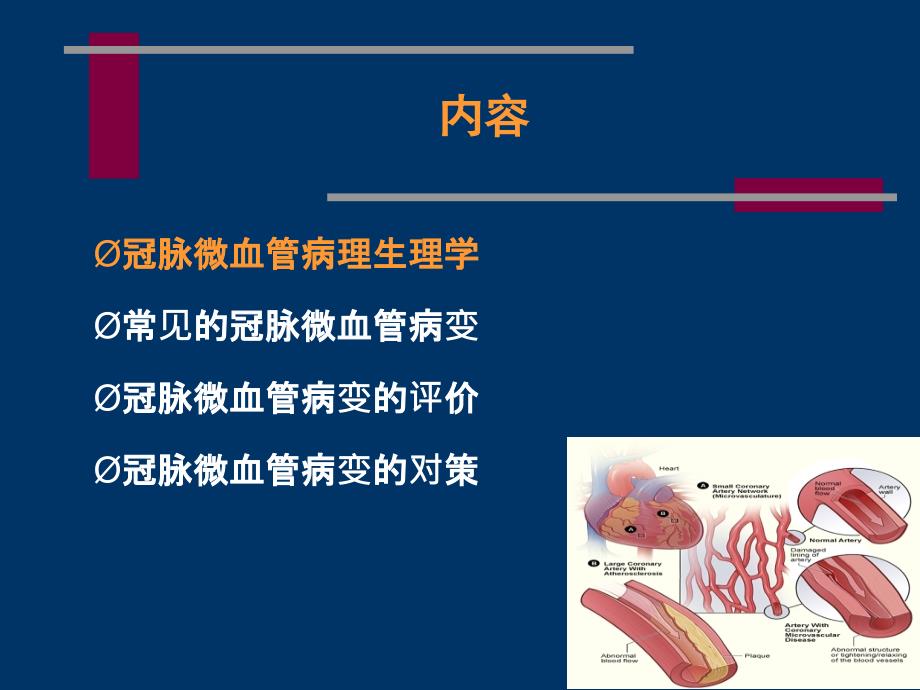 冠状动脉微血管病变及对策_第2页