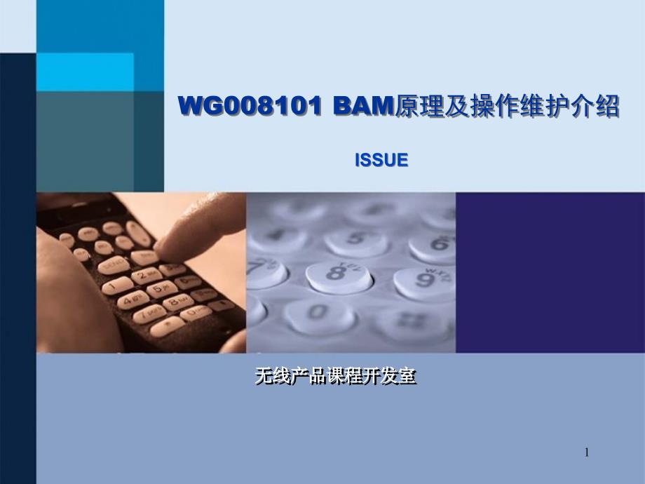 BAM原理及操作维护介绍ISSUE_第1页