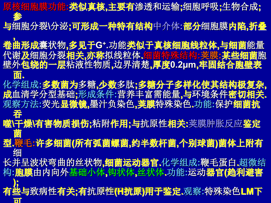 资料医学微生物学温习资料课件_第3页