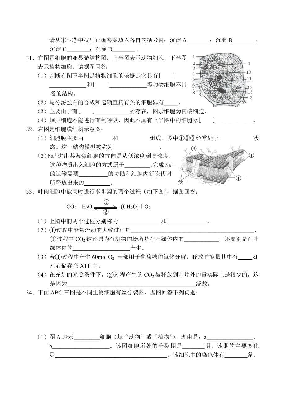 高一生物必修1综合练习题_第5页