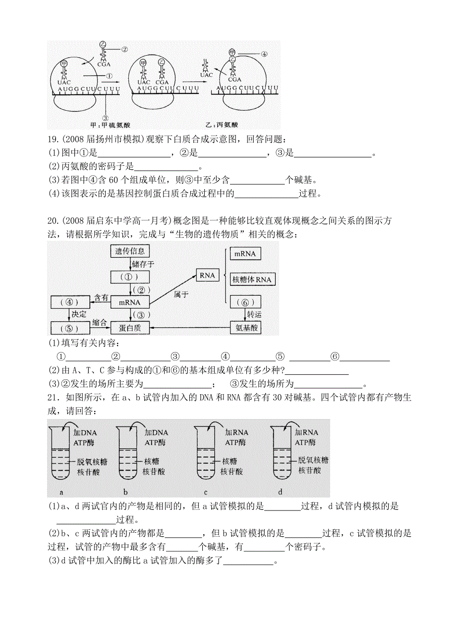 B2第十三讲基因及其表达.doc_第4页