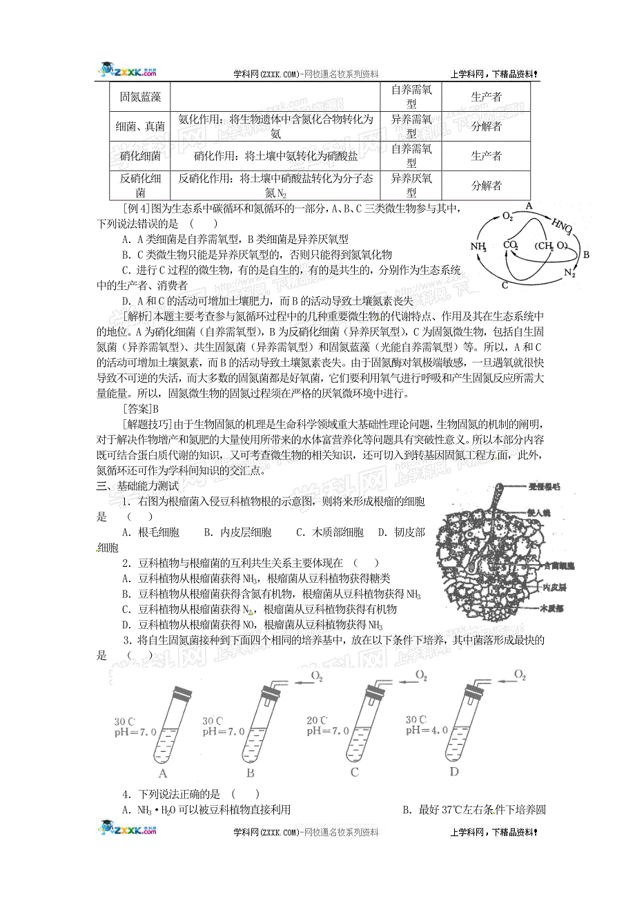 第41讲生物固氮.doc_第3页