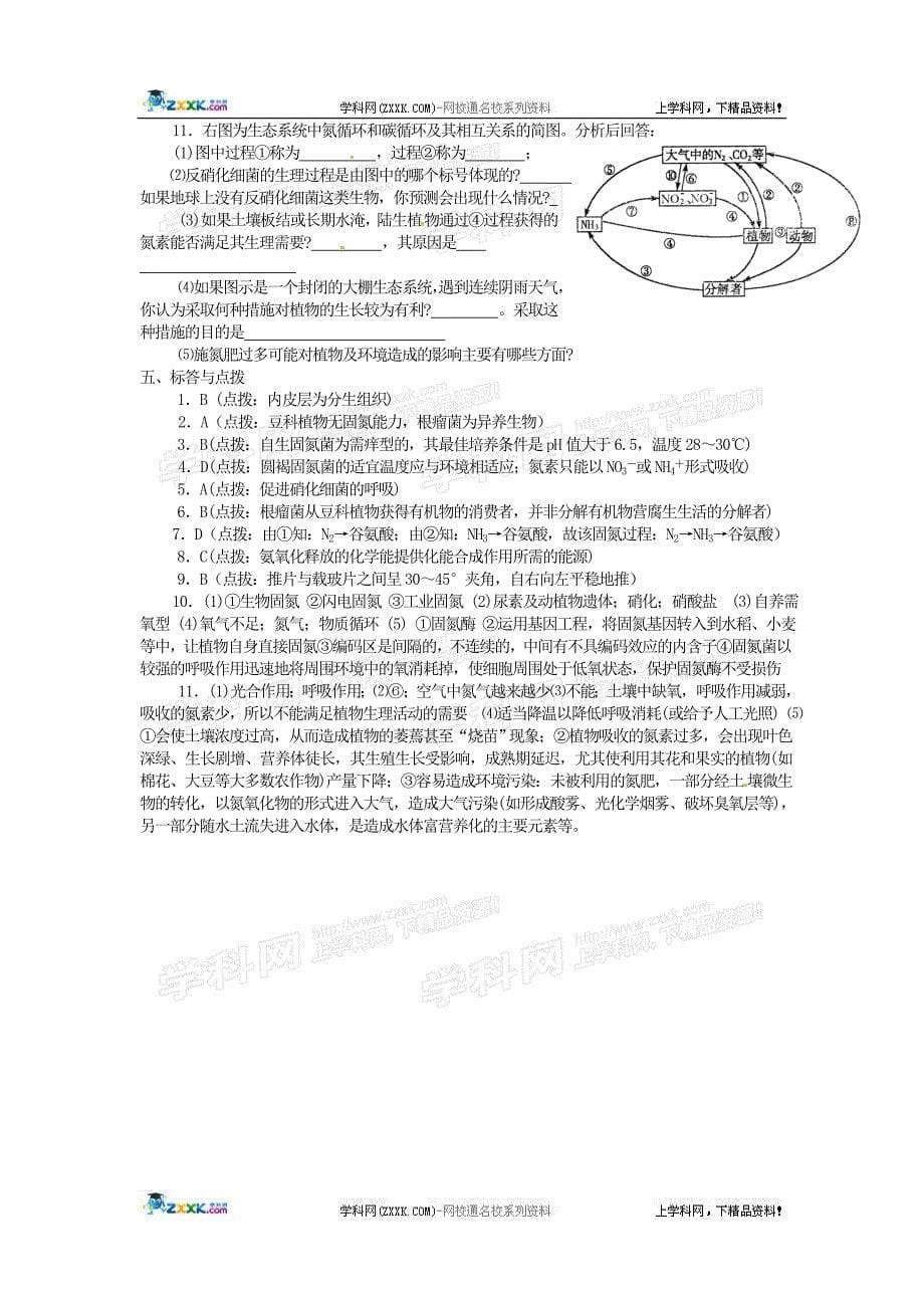 第41讲生物固氮.doc_第5页