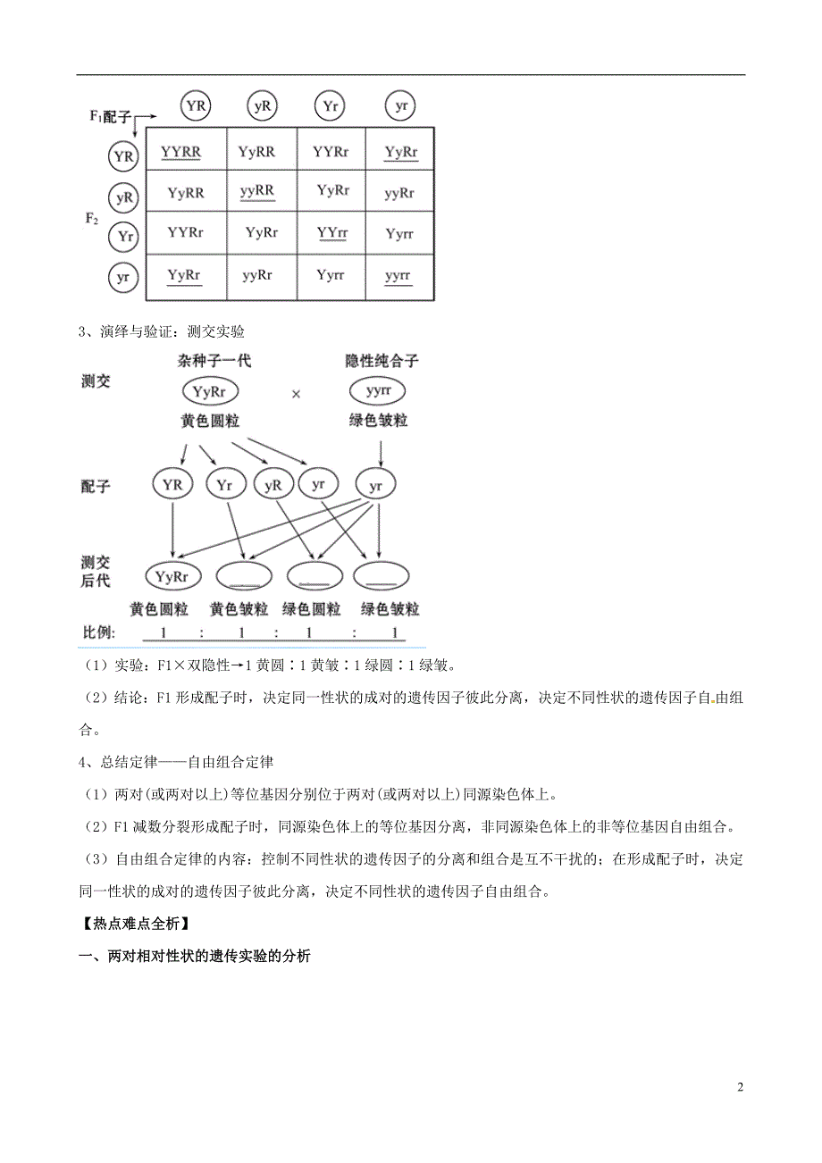 12孟德尔的豌豆杂交实验（二_第2页