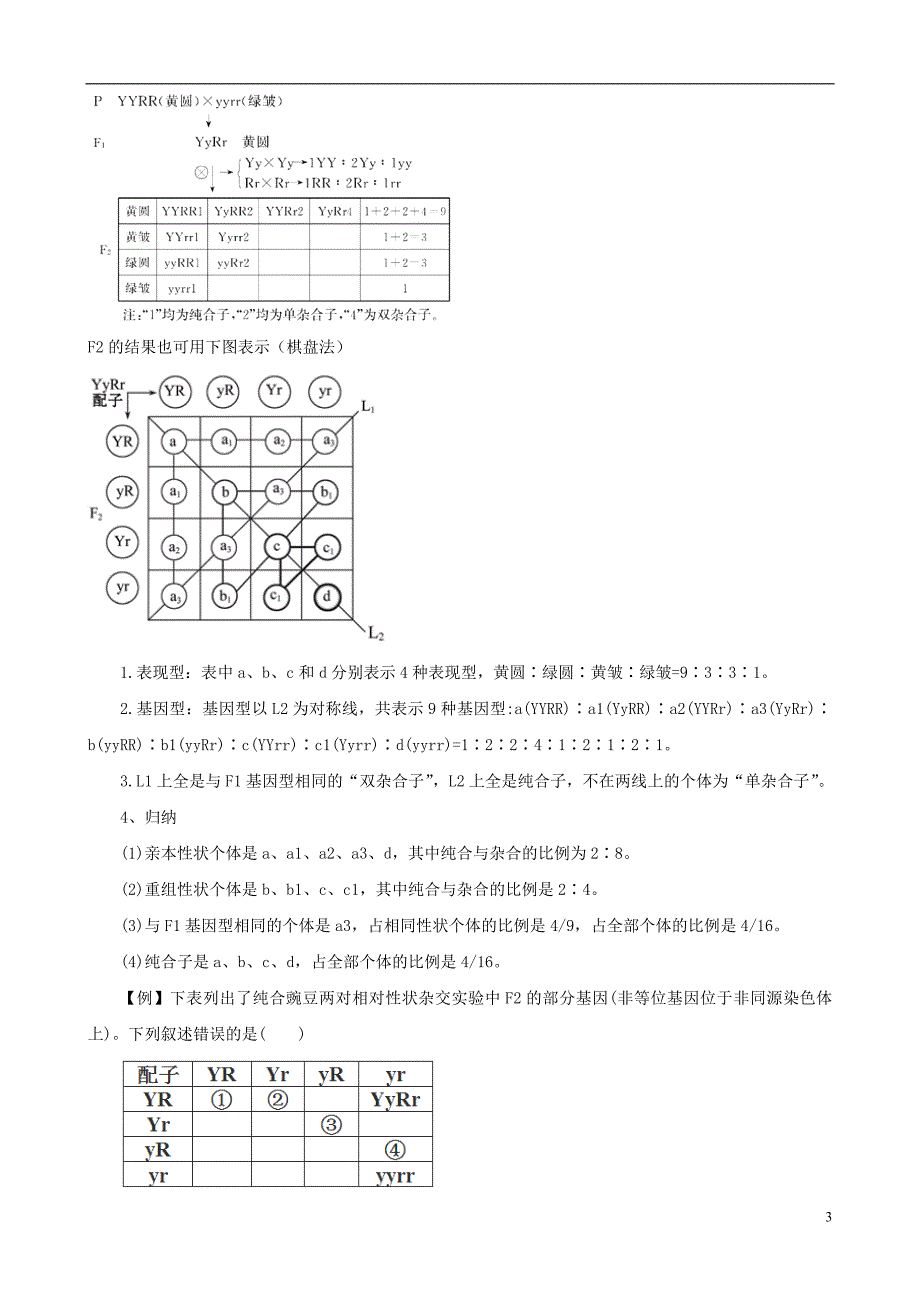 12孟德尔的豌豆杂交实验（二_第3页