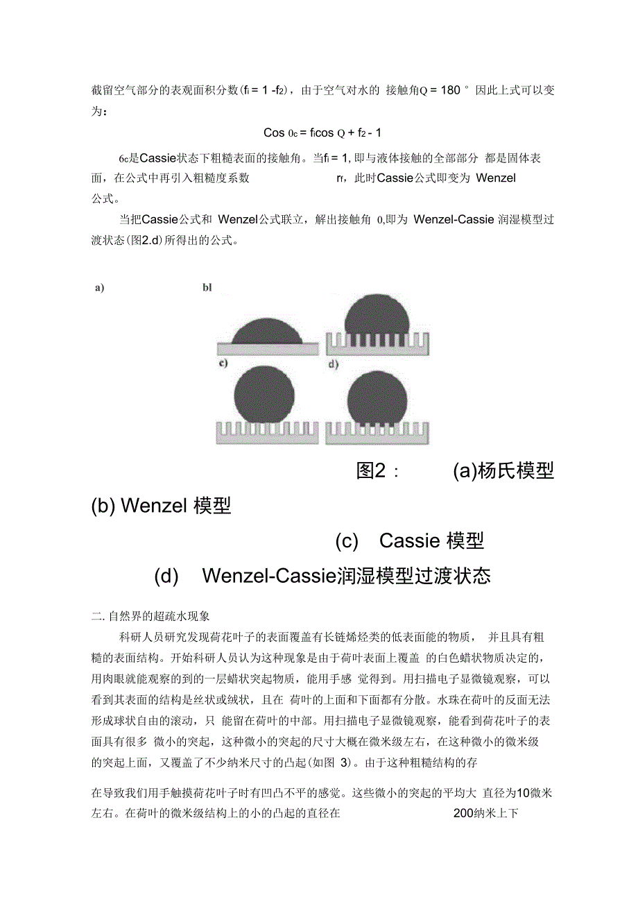 自然界超疏水现象及应用浅析_第4页