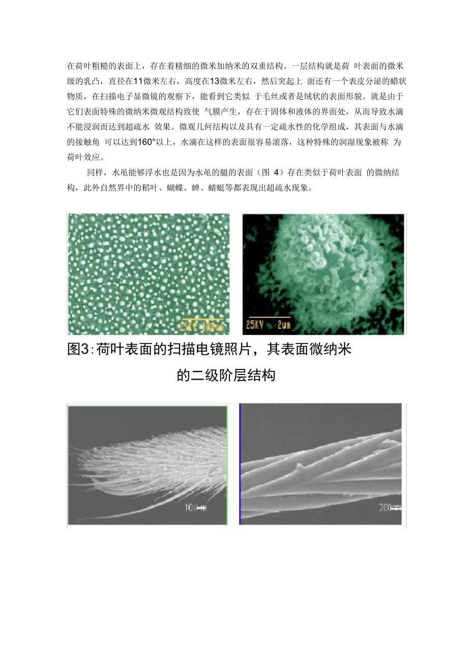 自然界超疏水现象及应用浅析_第5页