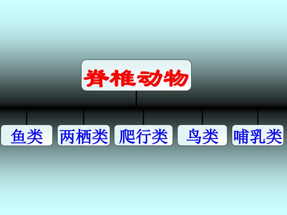 初中科学7年级上册第2章《观察生物》复习_第4页