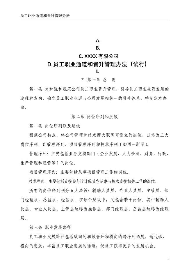 XXXX有限公司员工职业通道和晋升管理办法(试行)(word文档良心出品).doc