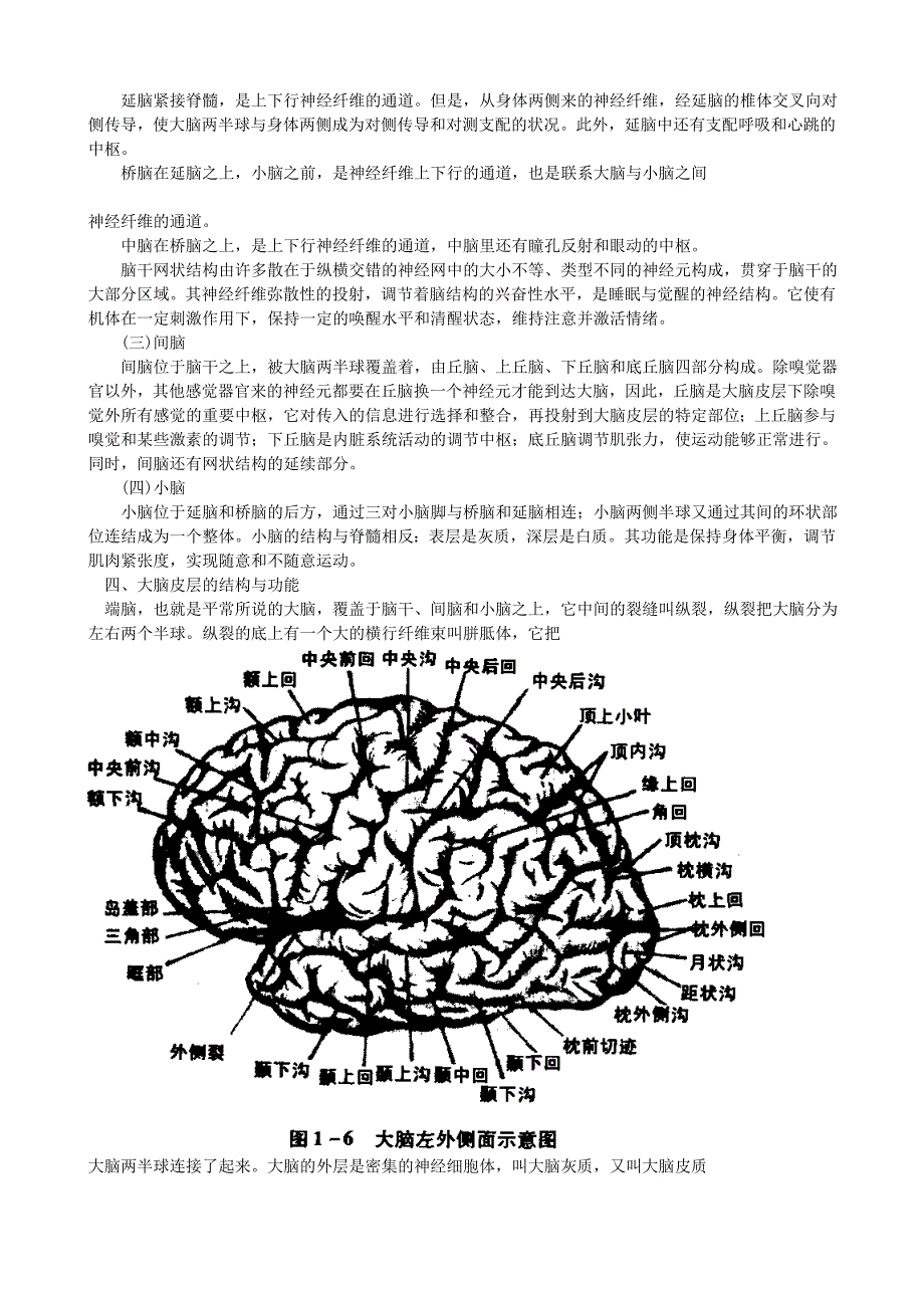 心理学第二章.doc_第3页