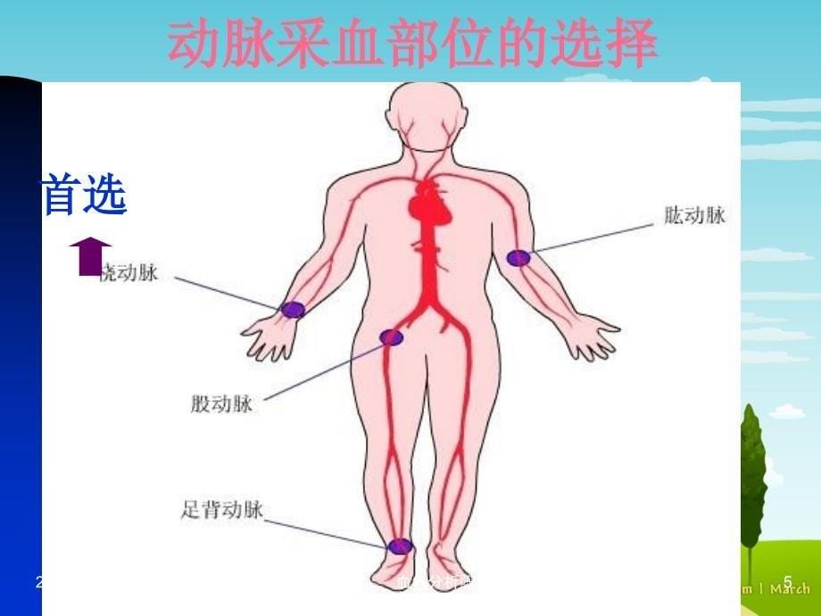 血气分析陈连方课件_第5页