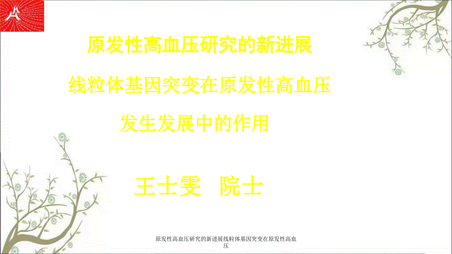 原发性高血压研究的新进展线粒体基因突变在原发性高血压课件_第1页