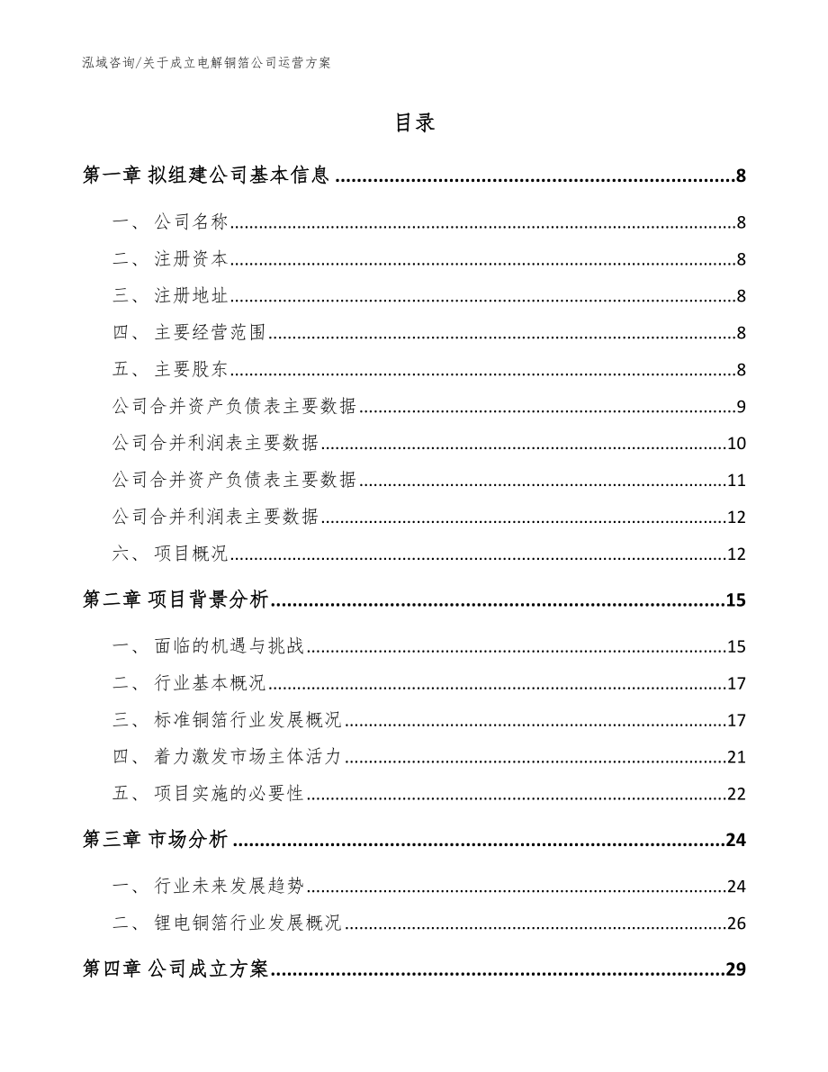 关于成立电解铜箔公司运营方案模板参考_第2页