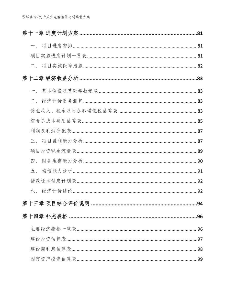 关于成立电解铜箔公司运营方案模板参考_第5页