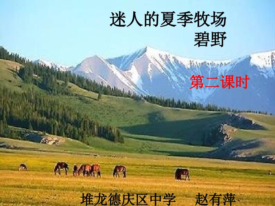 17.迷人的夏季牧场_第1页