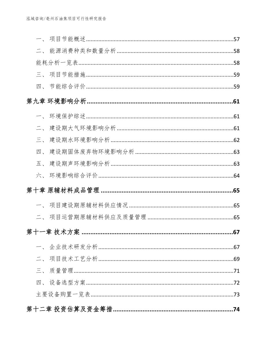 亳州石油焦项目可行性研究报告_第3页