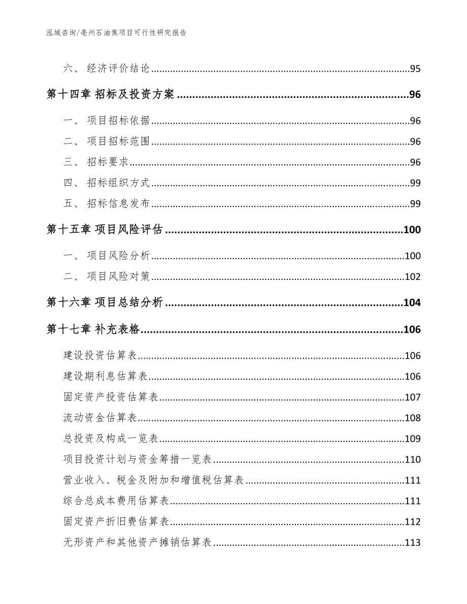 亳州石油焦项目可行性研究报告_第5页