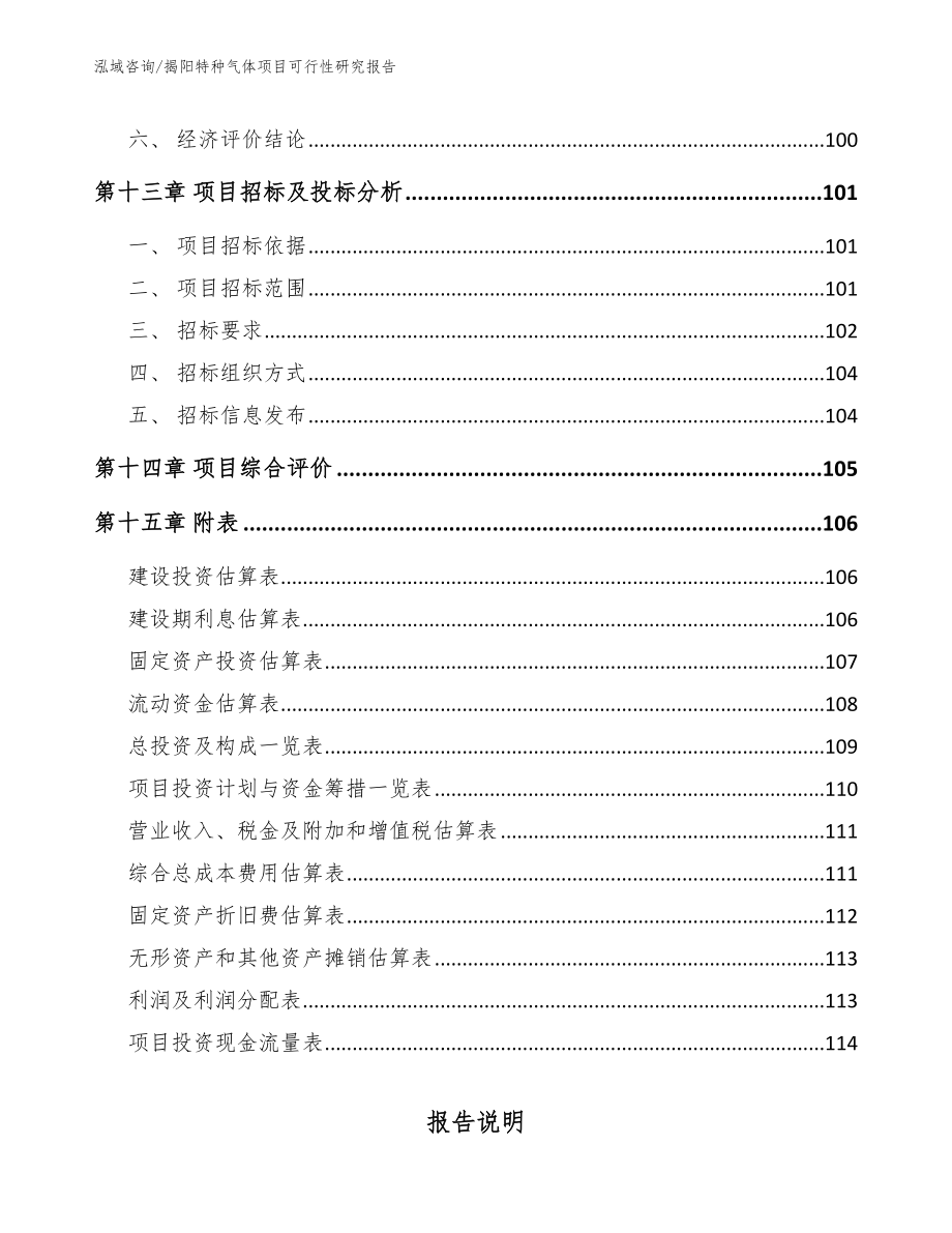 揭阳特种气体项目可行性研究报告【范文模板】_第5页