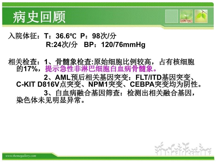 护理查房急性髓系白血病_第5页