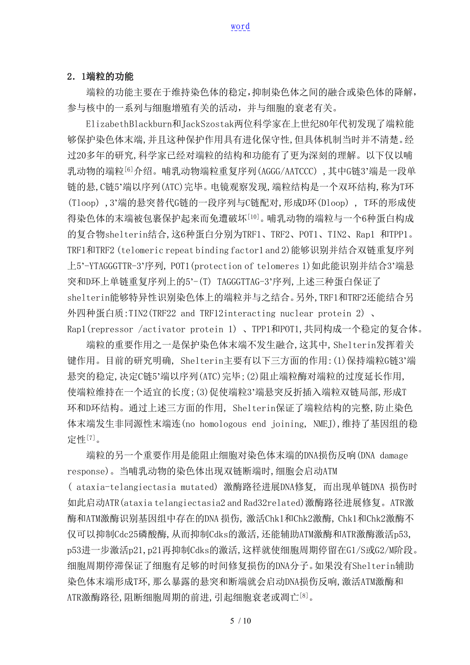 例文：端粒和端粒酶是如何能保护染色体的_第5页