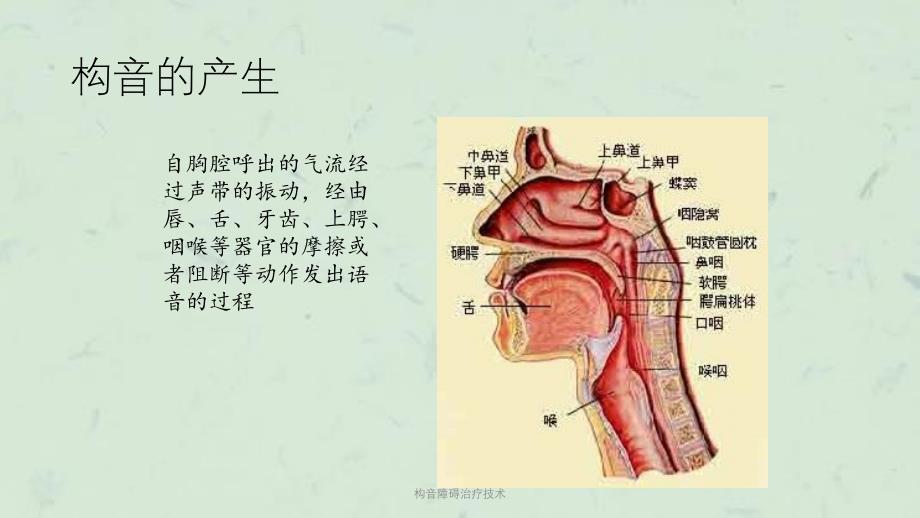 构音障碍治疗技术课件_第3页