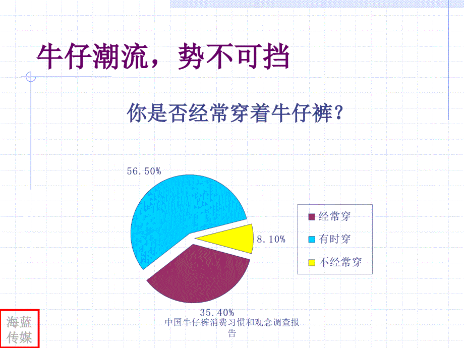 中国牛仔裤消费习惯和观念调查报告课件_第4页