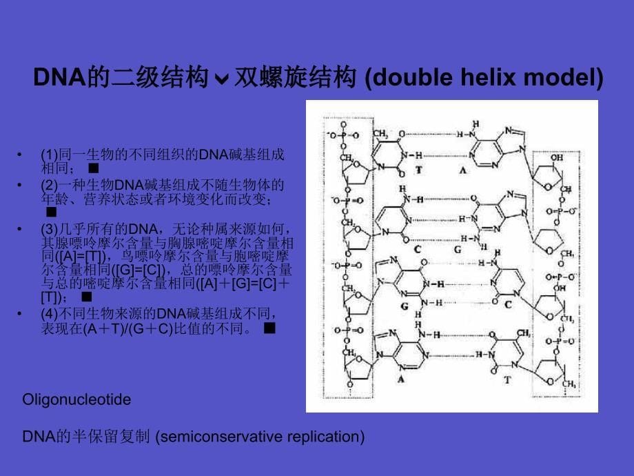 生物芯片的制造及其应用081114_第5页