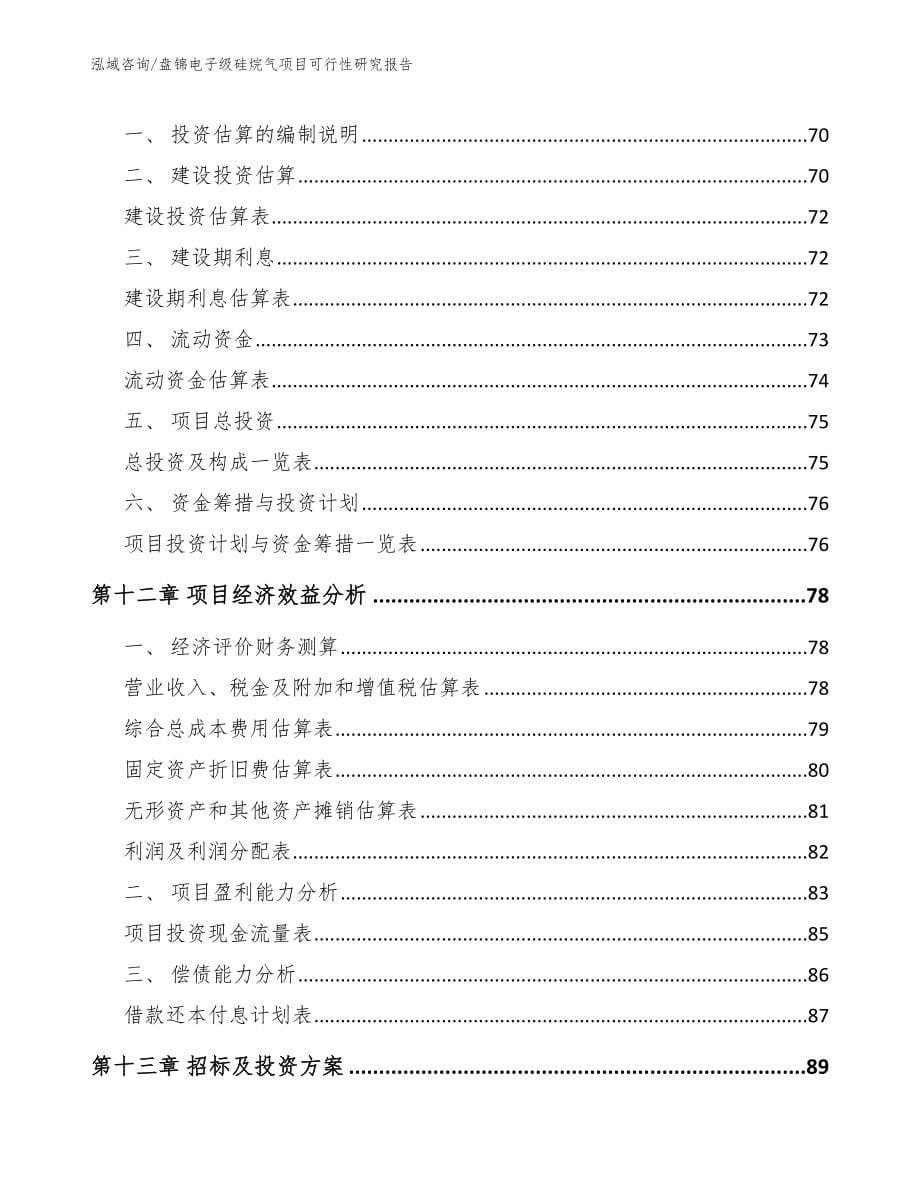 盘锦电子级硅烷气项目可行性研究报告【模板】_第5页